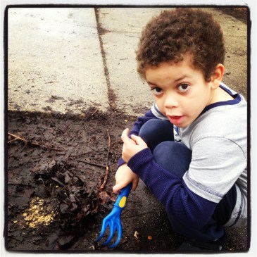 rhythm helps behavior